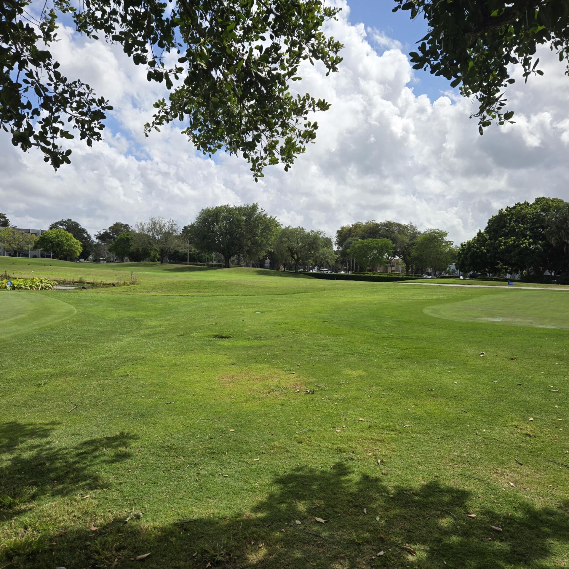 9440 Live Oak Place, Unit 402, Davie, FL 33324 Photo