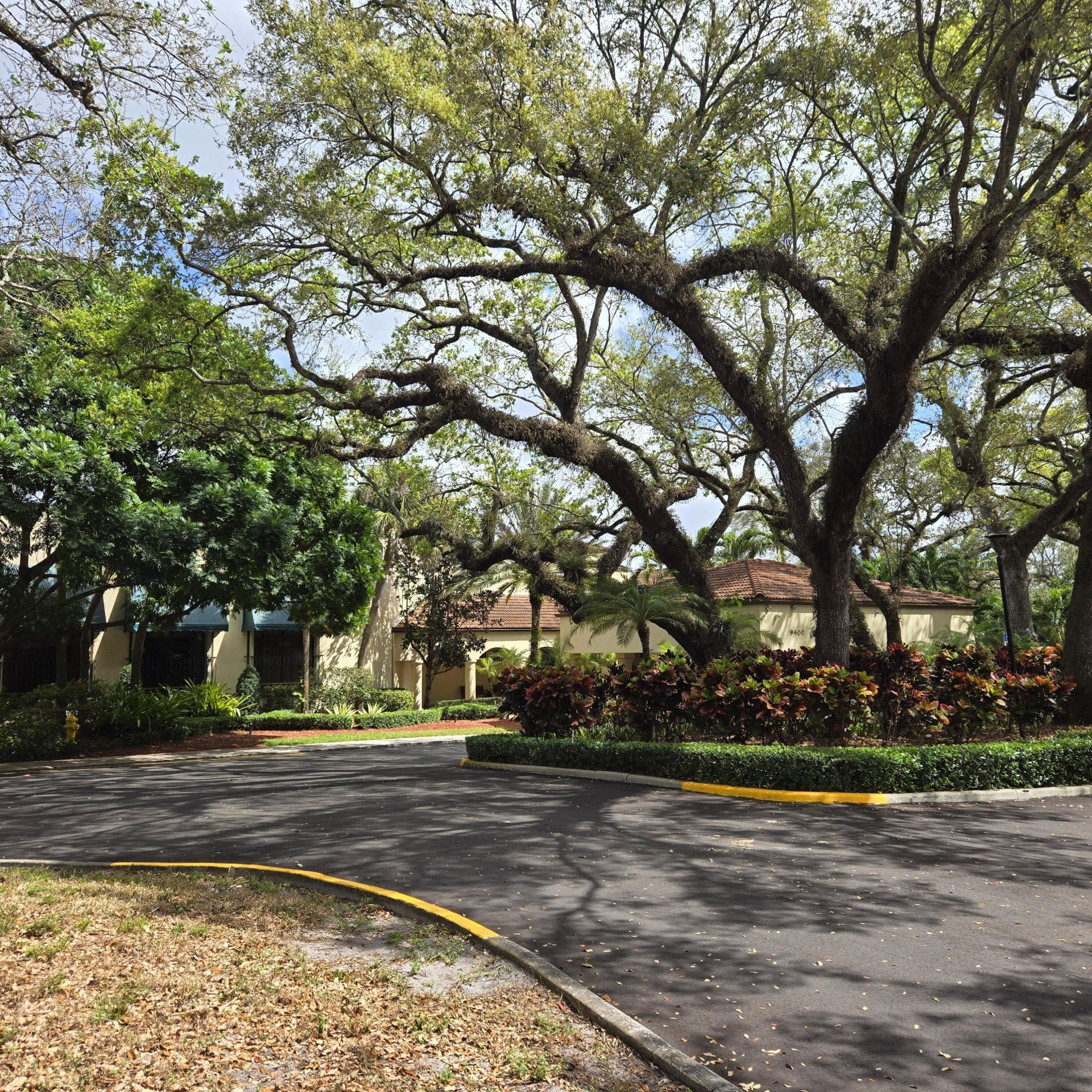 9440 Live Oak Place, Unit 402, Davie, FL 33324 Photo