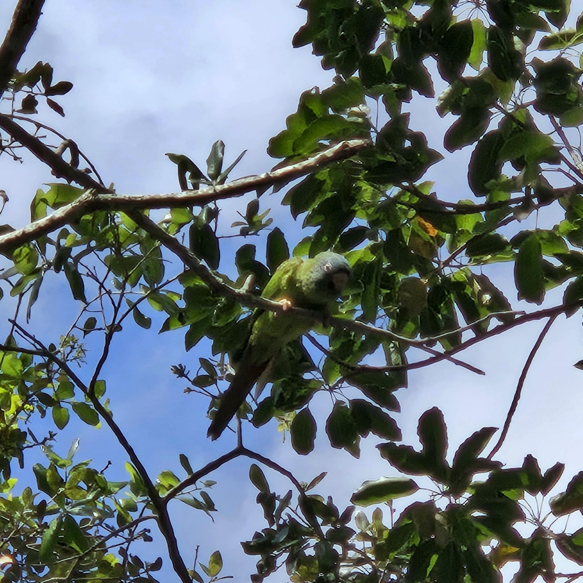 9440 Live Oak Place, Davie, FL 33324 Photo