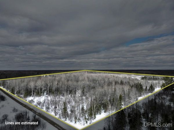 TBD N Rock 38th RD SE 40 Road, Maple Ridge Twp, MI 49880