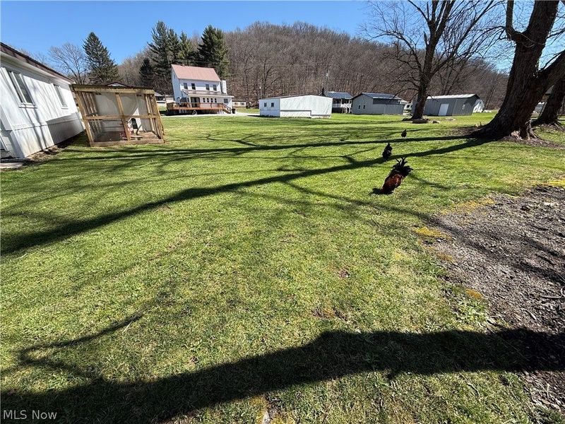 11820 State Route 43 , Amsterdam, OH 43903 Photo 38