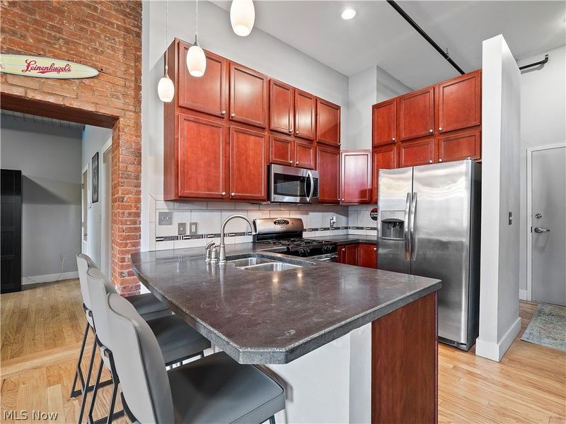 1260 W 4th Street, Unit 302, Cleveland, OH 44113 Photo 15