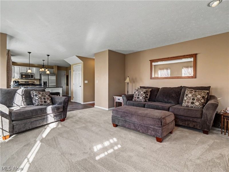 37831 Stoney Lake Drive, North Ridgeville, OH 44039 Photo 11