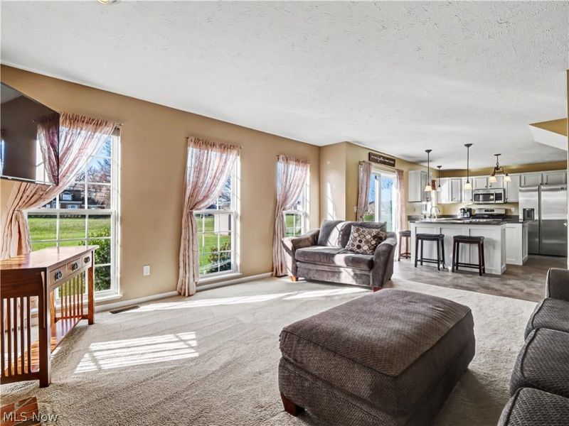 37831 Stoney Lake Drive, North Ridgeville, OH 44039 Photo 13