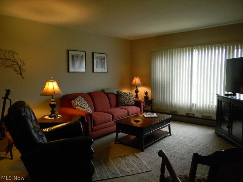 6787 Lakeview Drive , Kinsman, OH 44428 Photo 9