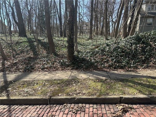 Plot B Weber Avenue, Akron, OH 44303