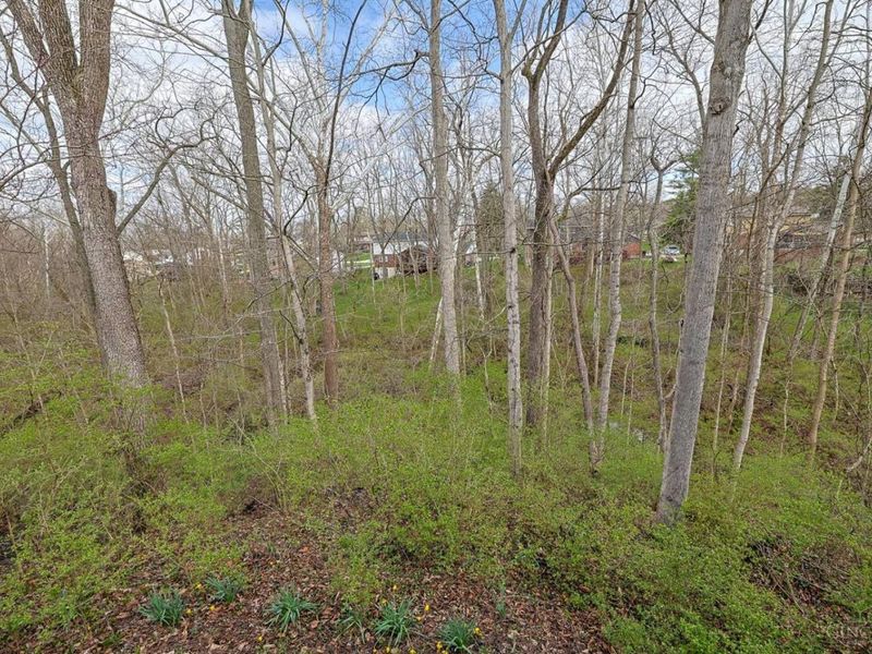 3261 Boxwood Circle, Evendale, OH 45241 Photo 48