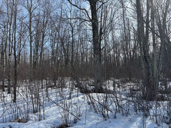 TBD Erickson Road , Kettle River, MN 55757