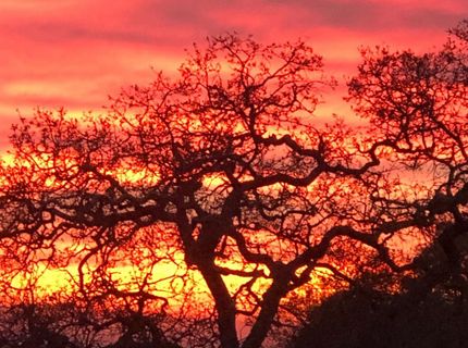 421 Fuente Pl, Lincoln, CA 95648 Photo