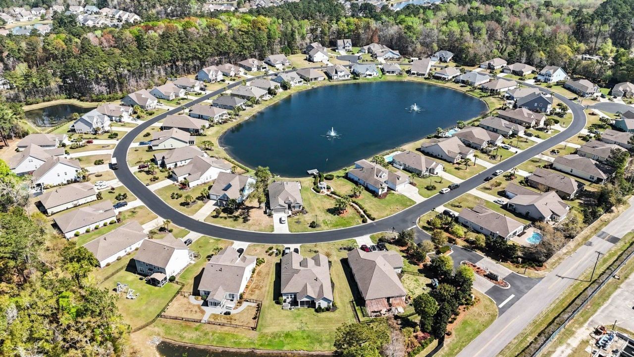 51 Hyacinth Loop Photo 52