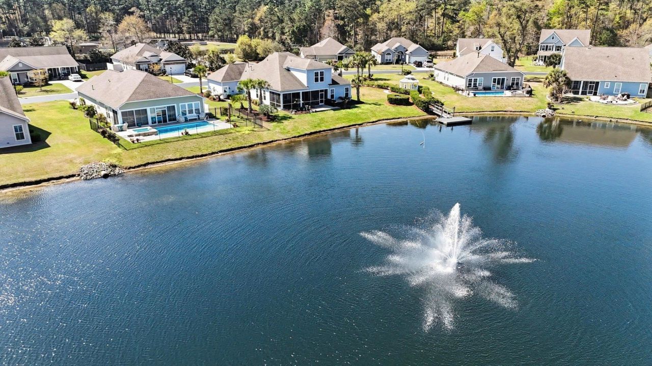 51 Hyacinth Loop Photo 53