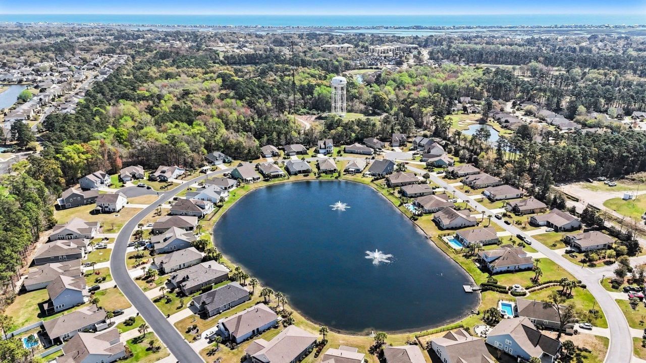 51 Hyacinth Loop Photo 54