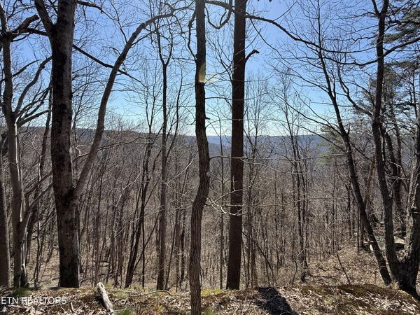 Cumberland Cove Rd, Monterey, TN 38574