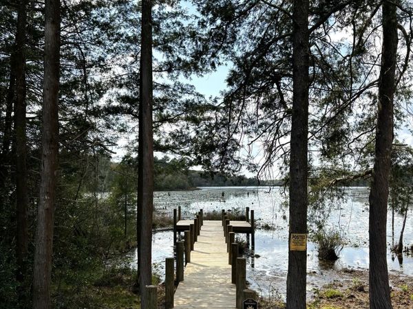 15 Holly Lake Court, DeFuniak Springs, FL 32433