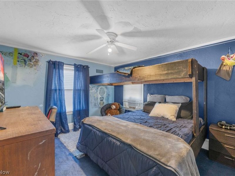 509 Storer Avenue, Akron, OH 44320 Photo 15