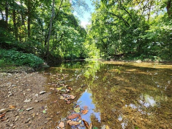 0 Taurus Farm Rd , Lafayette, TN 37083