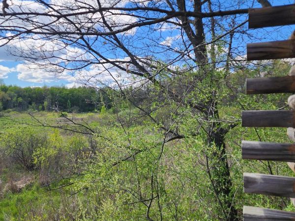 12 Mile Road, Ceresco, MI 49033