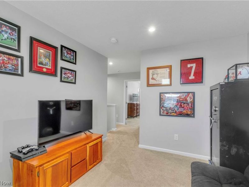 4459 Bellow Drive, Lorain, OH 44053 Photo 18