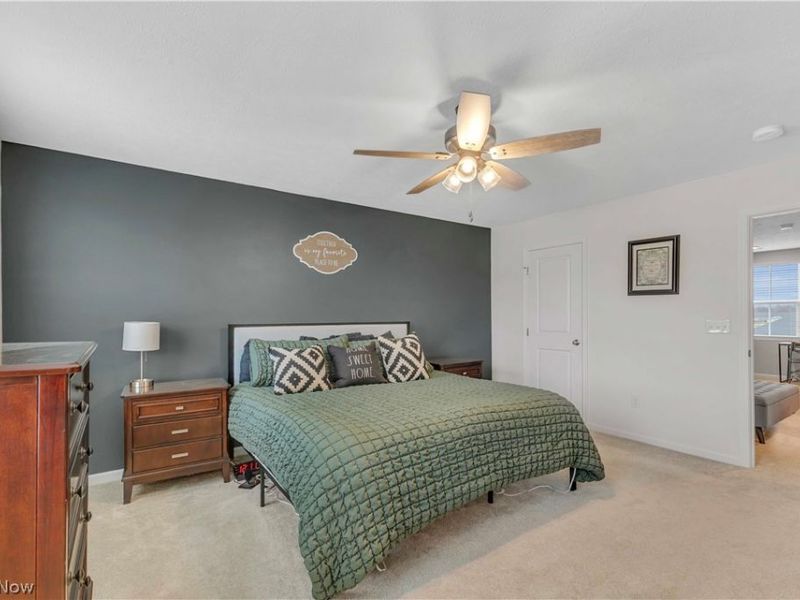 4459 Bellow Drive, Lorain, OH 44053 Photo 20