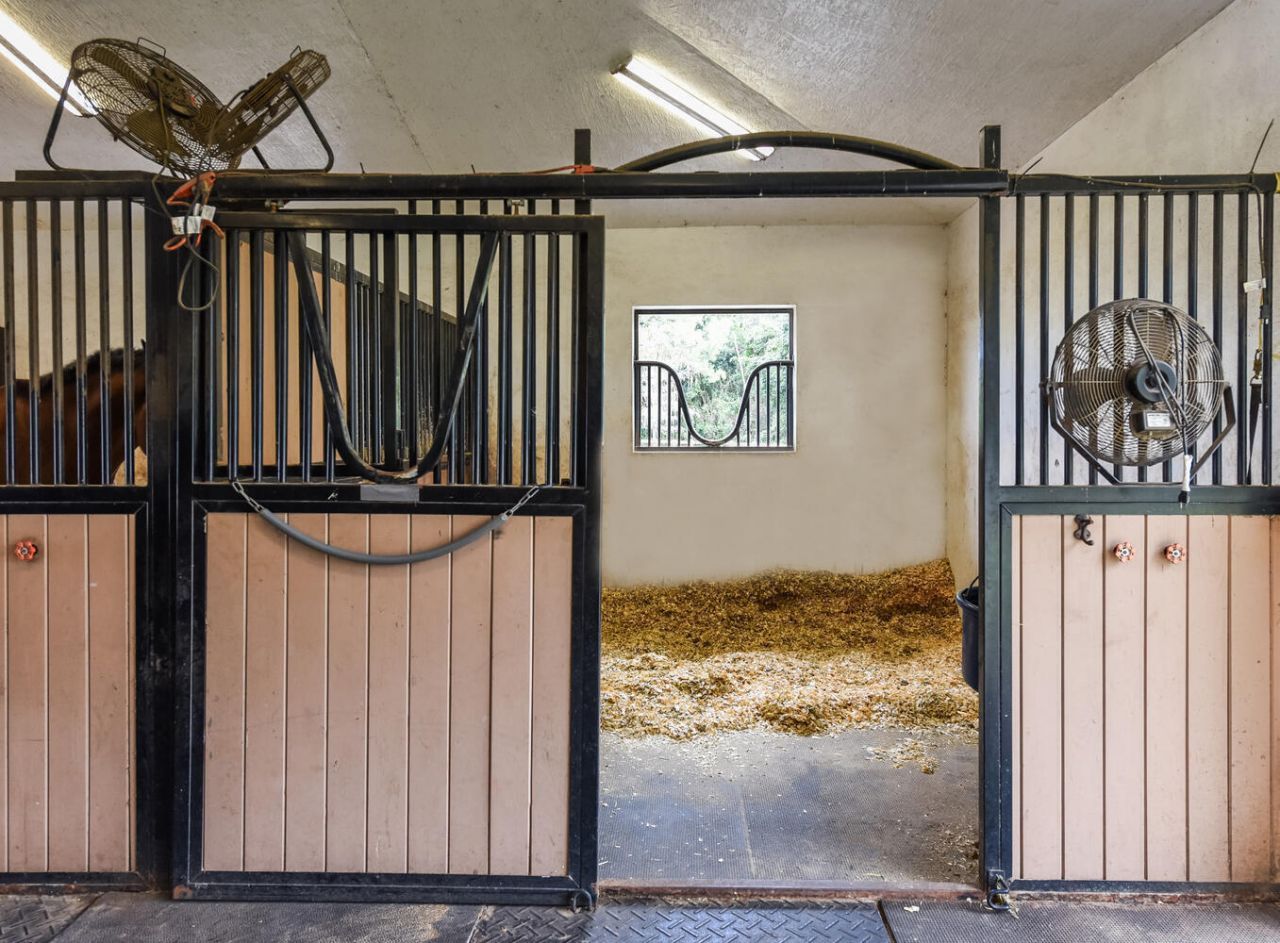 1401 Pelham Road, Wellington, FL 33414 Photo