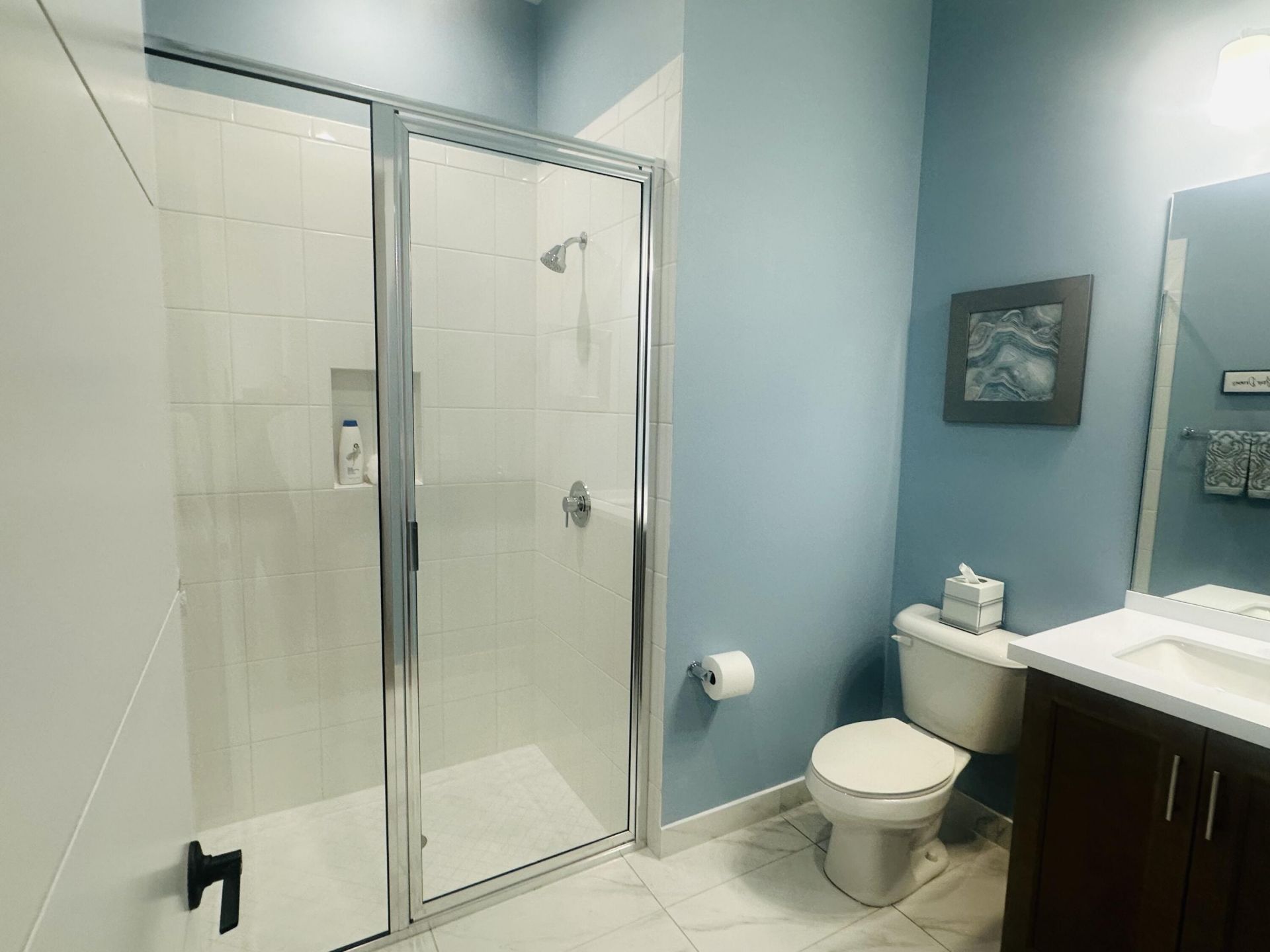 8537 Apple Falls Lane, Boca Raton, FL 33496 Photo