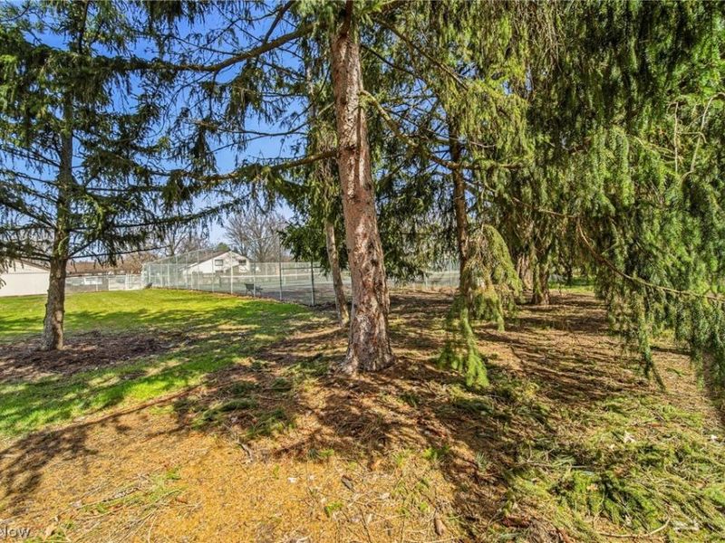 4449 Cushing Lane, Richmond Heights, OH 44143 Photo 25