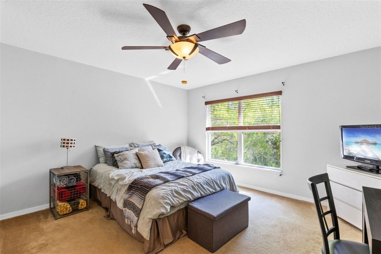 4555 Lacebark Trail , Oviedo, FL 32765 Photo