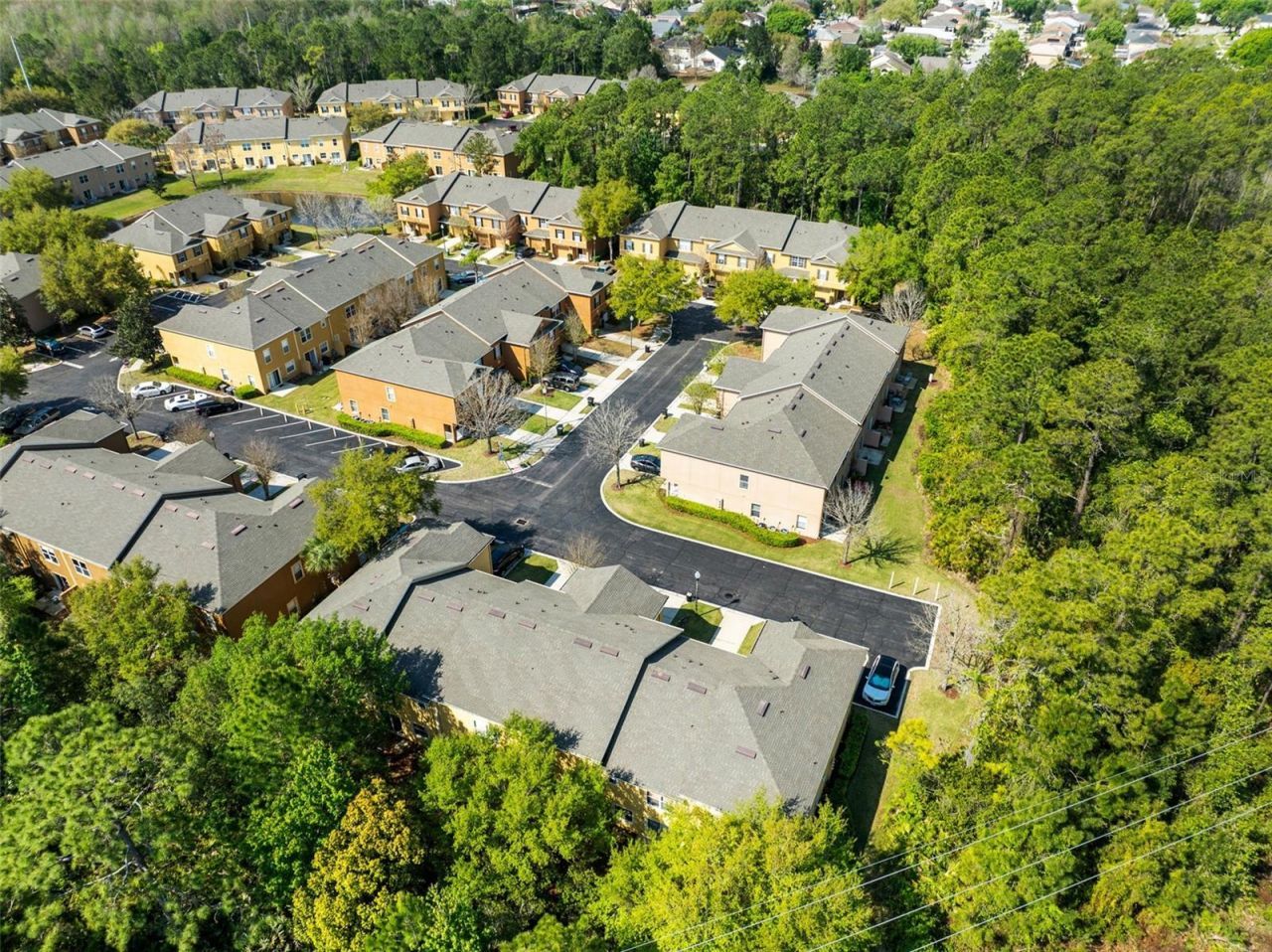 4555 Lacebark Trail , Oviedo, FL 32765 Photo