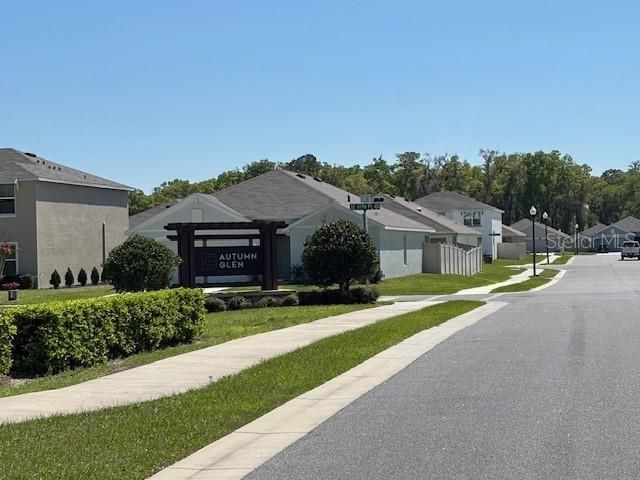 11161 SE 69th Terrace, Belleview, FL 34420 Photo