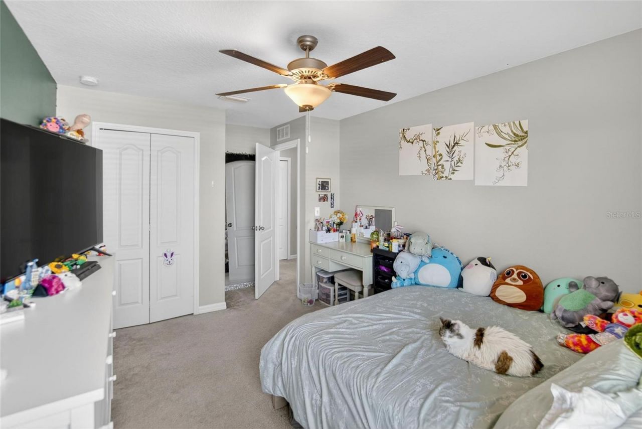 11932 Grand Kempston Drive, Gibsonton, FL 33534 Photo