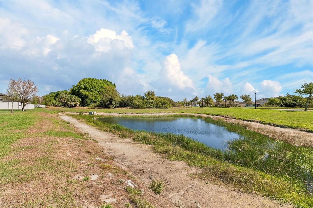 11932 Grand Kempston Drive, Gibsonton, FL 33534 Photo