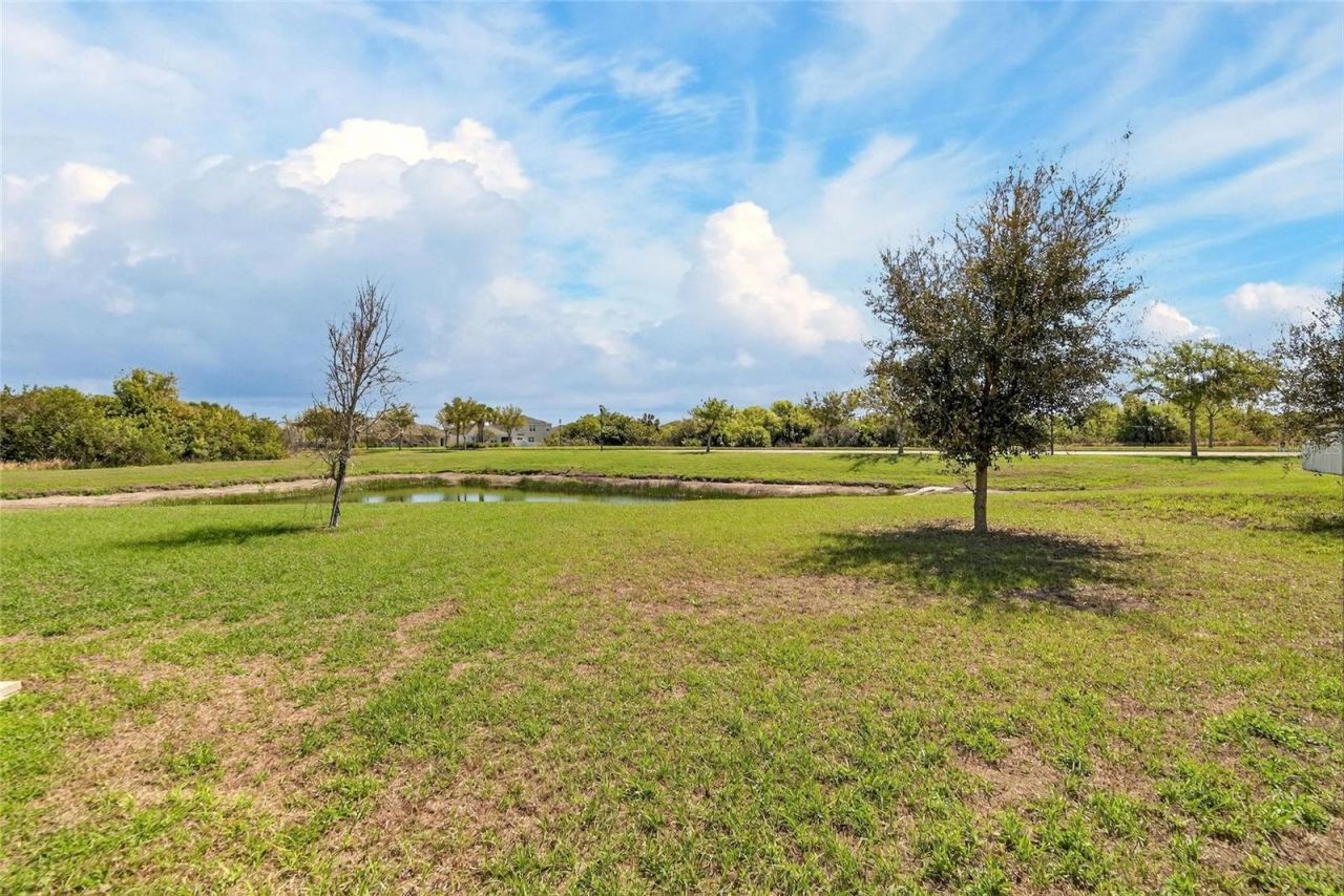 11932 Grand Kempston Drive, Gibsonton, FL 33534 Photo