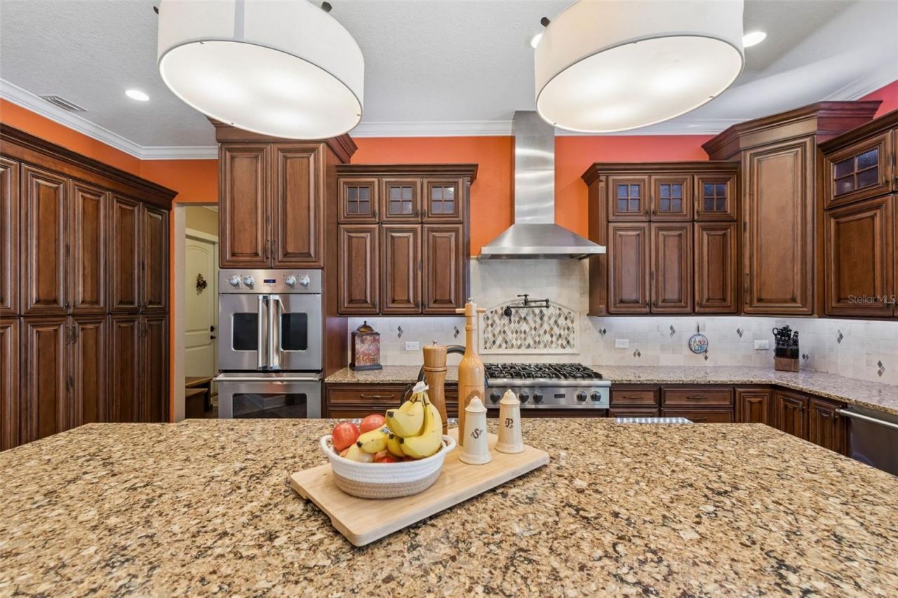 32641 Blueberry Hill Way, Dade City, FL 33523 Photo