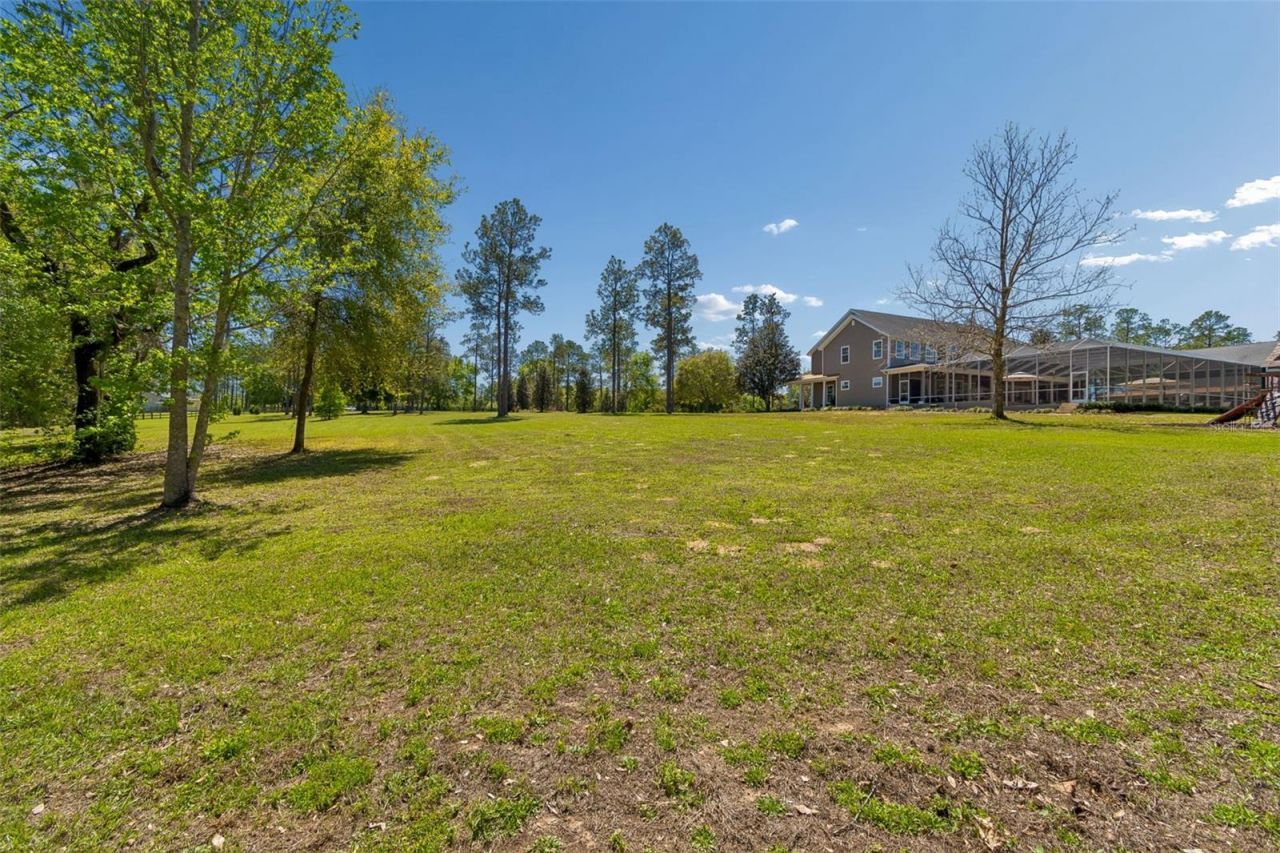 32641 Blueberry Hill Way, Dade City, FL 33523 Photo