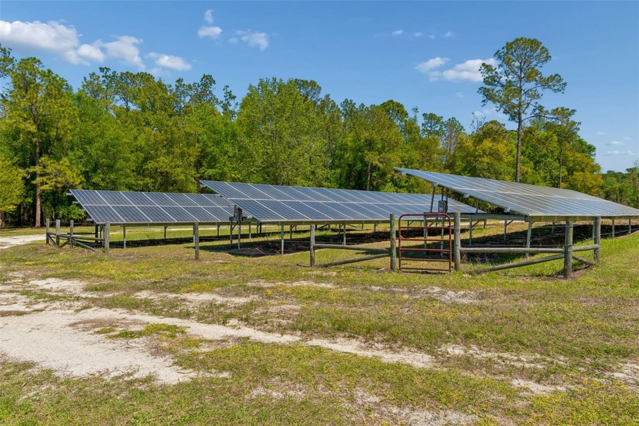 32641 Blueberry Hill Way, Dade City, FL 33523 Photo