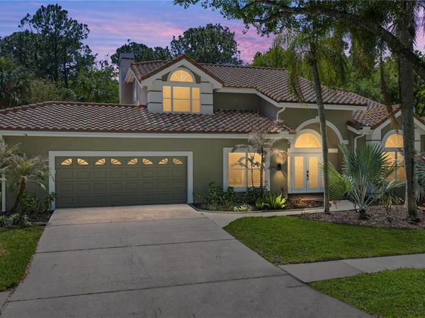 17820 GREY BROOKE DRIVE , TAMPA, FL 33647