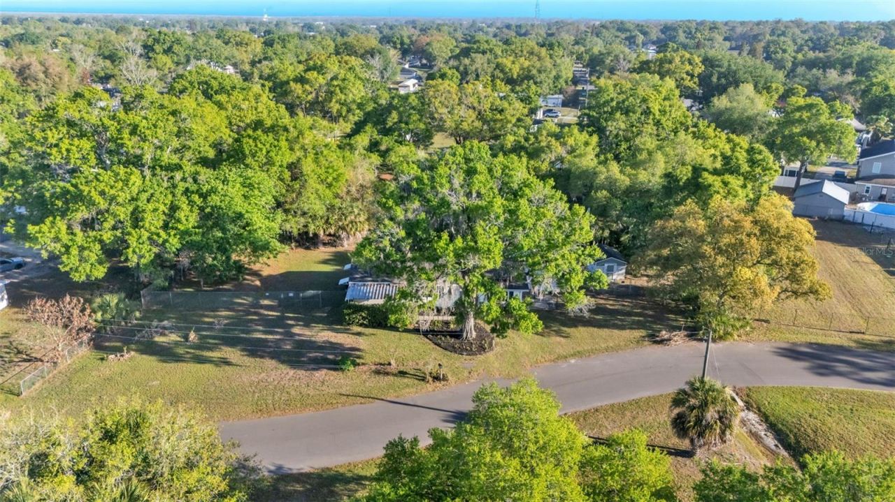 1317 W Belmar Street , Lakeland, FL 33815 Photo