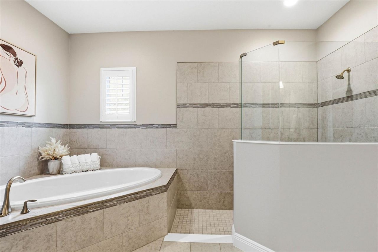 21804 Briske Morning Avenue, Land O Lakes, FL 34637 Photo