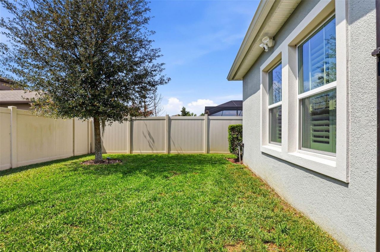 21804 Briske Morning Avenue, Land O Lakes, FL 34637 Photo