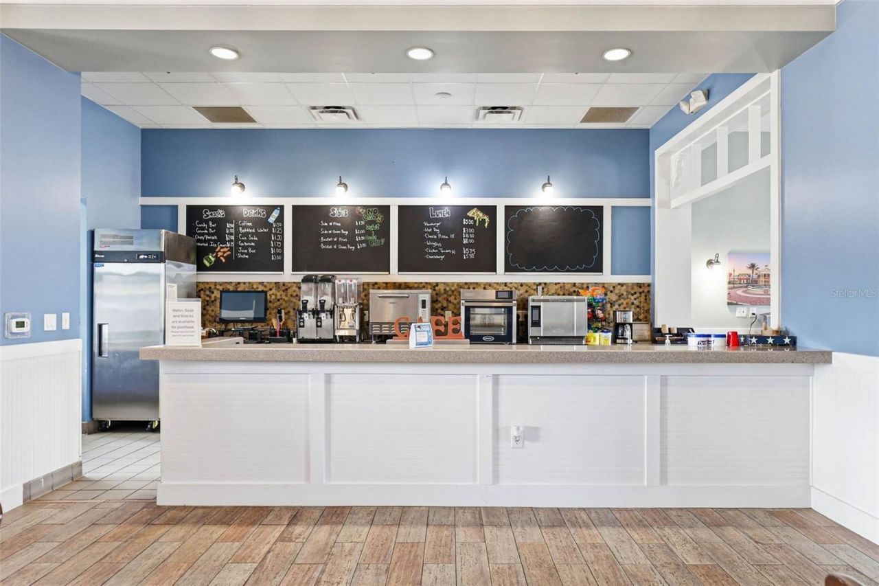 21804 Briske Morning Avenue, Land O Lakes, FL 34637 Photo