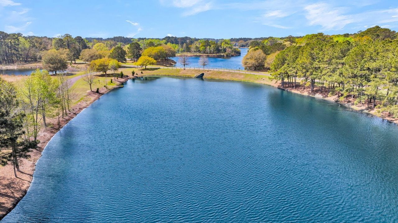 4173 Gnarled Oaks Lane Photo 11