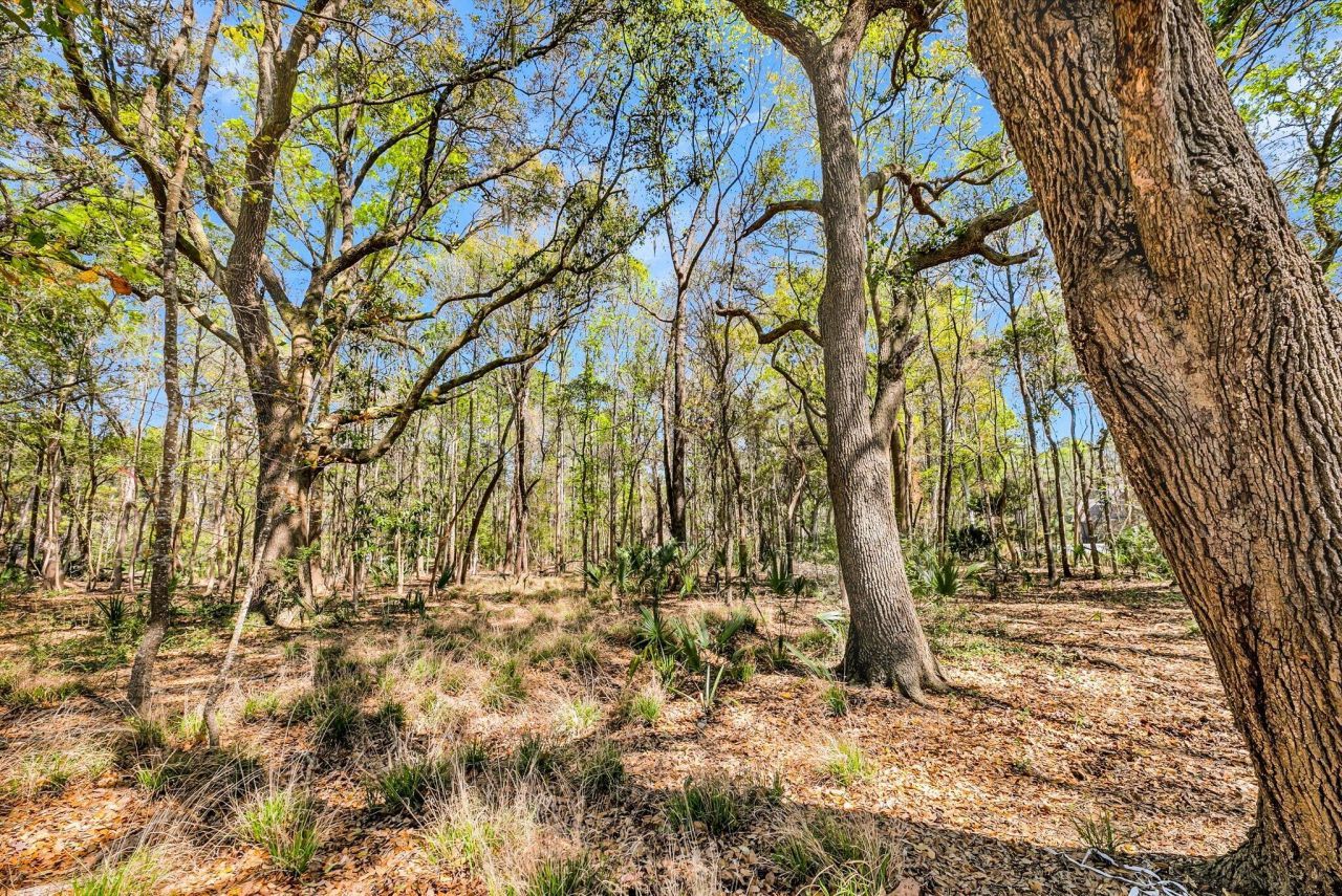 4173 Gnarled Oaks Lane Photo 12