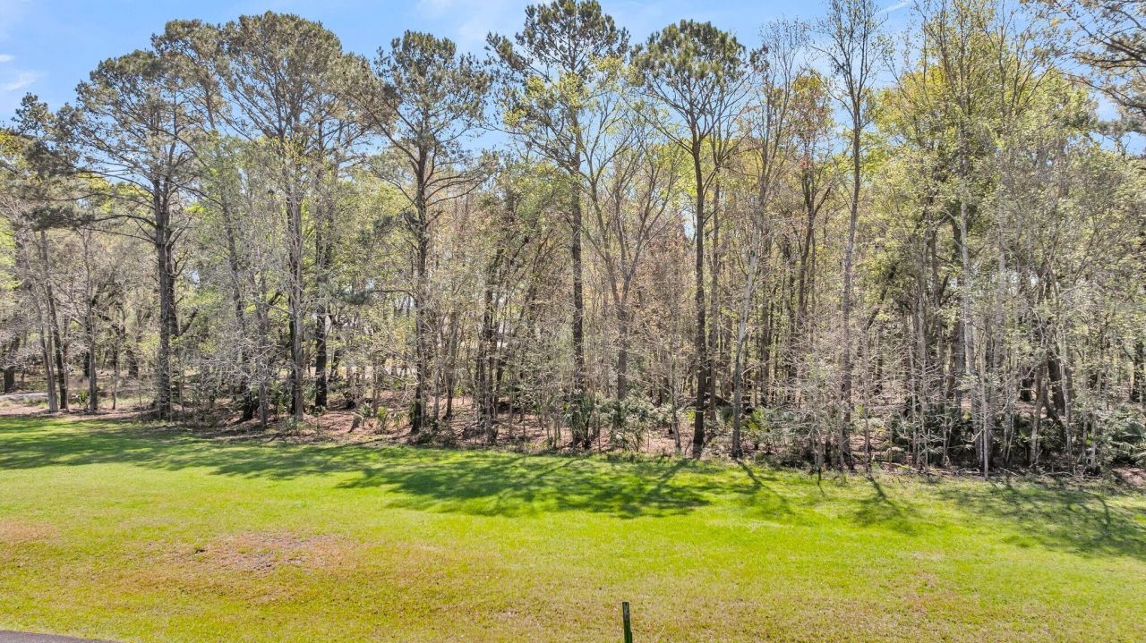 4173 Gnarled Oaks Lane Photo 16