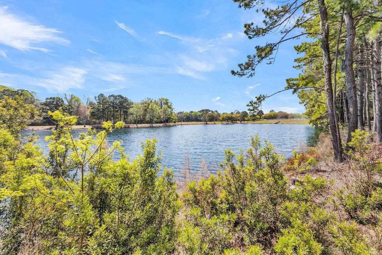 4173 Gnarled Oaks Lane Photo 2