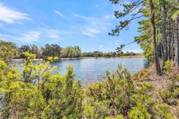 4173 Gnarled Oaks Lane photo 4