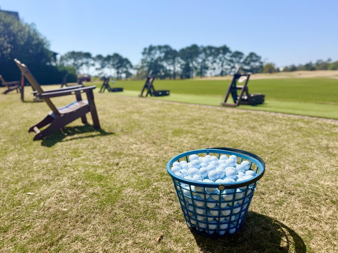 4173 Gnarled Oaks Lane Photo 23