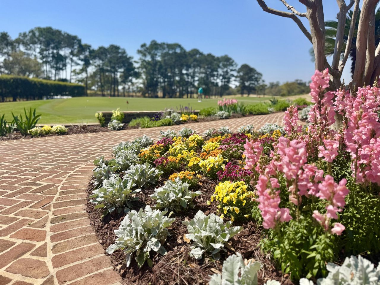 4173 Gnarled Oaks Lane Photo 27