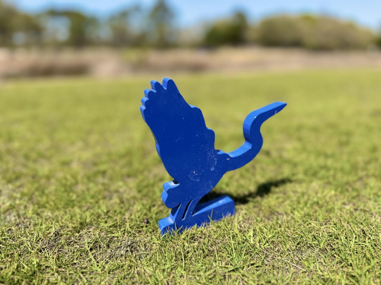 4173 Gnarled Oaks Lane Photo 28