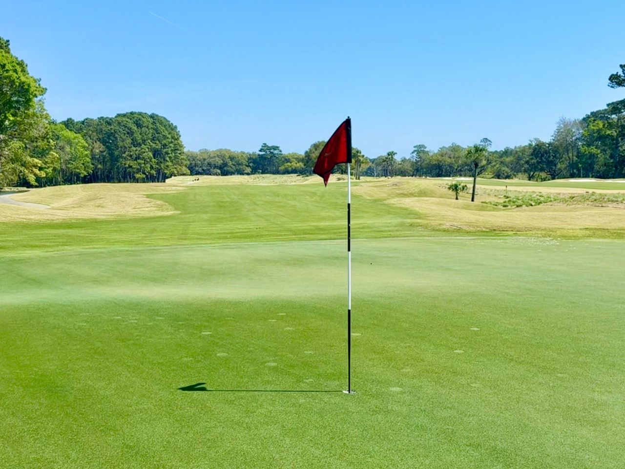 4173 Gnarled Oaks Lane Photo 29