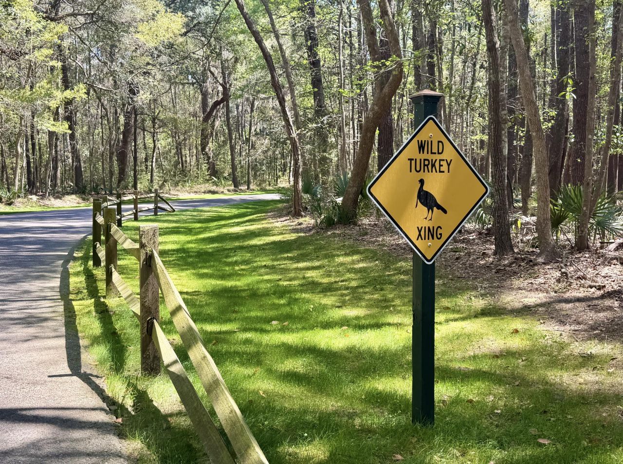 4173 Gnarled Oaks Lane Photo 32